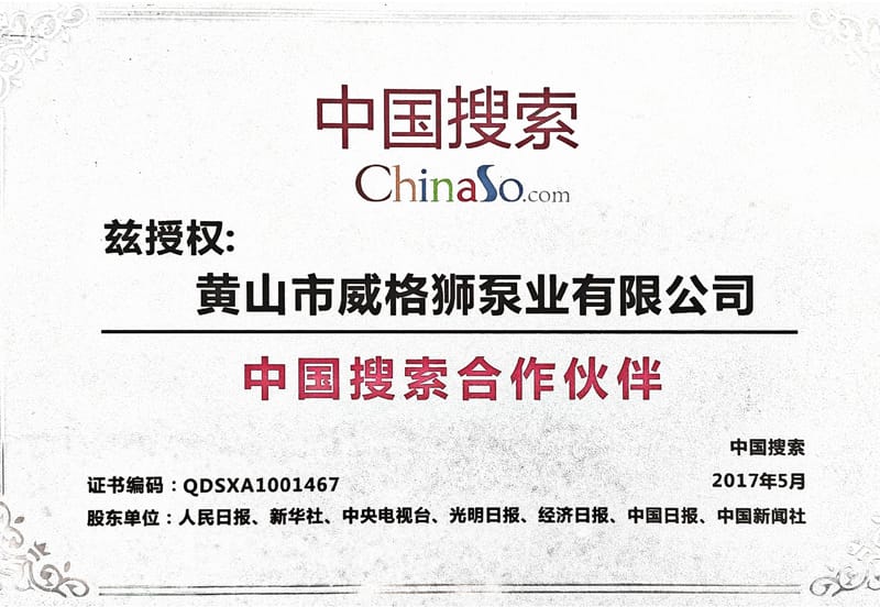 China search partners